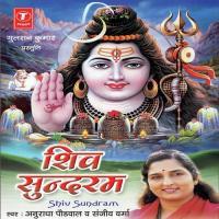 Daya Ki Najariya Utha Anuradha Paudwal,Sanjeev Verma Song Download Mp3