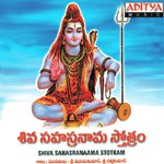 Shiva Sahasranama Stotram Udaykumar,Rathnakumar Song Download Mp3