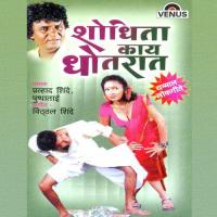 Hicha Khurada Jhalay Juna Prahlad Shinde,Pushpataai Song Download Mp3