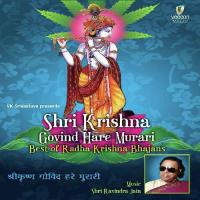 Krishna Mai Radha Kavita Krishnamurthy Song Download Mp3