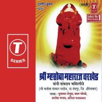 Maato Mi Tumache Naam Ashok Jadhav,Sudhakar Shailju,Anita Gaikwad,Baban Bhople Song Download Mp3