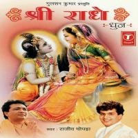 Aayenge Bihari Bole Jey Radhe Jey Radhe Rajiv Chopra Song Download Mp3