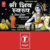 Jaago Shiv Mahadev Shri Om Ji Song Download Mp3