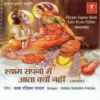 Tera Dil To Diwana Ho Gaya Baba Rasika Pagal Song Download Mp3