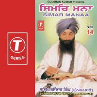 Mere Sahiba Bhai Harjinder Singh Ji (Srinagar Wale) Song Download Mp3