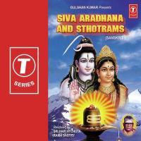 Biva Naamaavalyashtakam Sri Hari Atchuta Rama Sastry,N. Surya Prakash Song Download Mp3