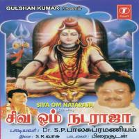 Sambo Shiva Om S.P. Balasubrahmanyam Song Download Mp3