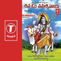 Namassivaaya Sivaaya Namaom Parthasaradhi Song Download Mp3