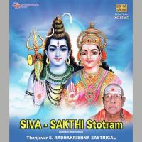 Adi Sankaras Siva Aparatha Kshamapana Stotram Thanjavur S. Radhakrishna Sastrigal Song Download Mp3