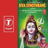 Sharanu Sharanu Shiv Shankara (Solo) P. Gowrinath Song Download Mp3