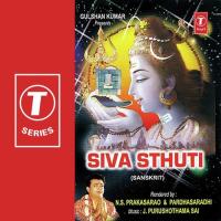 Sri Ardhanareeswara Sthothram Parthasaradhi,N.S. Prakash Rao Song Download Mp3