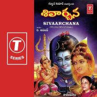 Sri Kalahasthisa G. Anand Song Download Mp3