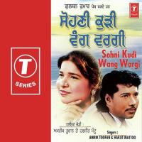 Paali Paali Kehnde Ne Amrik Toofan,Harjit Mattu Song Download Mp3