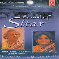 Dhun - Raag Pilu Shivnath Mishra Song Download Mp3