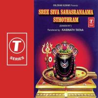 Sree Siva Sahasranaama Sthothram Kasinath Tata Song Download Mp3