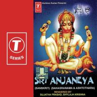 Sri Anajneya Stotra Shylaja Krishna,Sujata Prasad Song Download Mp3