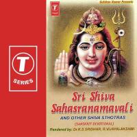 Chandrashekarashtakam R. Vijayalakshmi,Dr. K.S. Sridhar Song Download Mp3