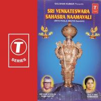 Sri Venkateswara Sahasra Naamavali Sri Hari Atchuta Rama Sastry,P. Gowrinath,Sri Hari Sankara Shastry,Smt. P. Gayatri Song Download Mp3