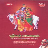 Srimad Bhagavatham (Part 3) Sri T.S.Balakrishna Sastri Song Download Mp3