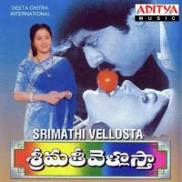 Vanamaali Vanamalli K. S. Chithra,S.P. Balasubrahmanyam Song Download Mp3