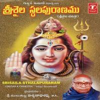 Srisaila Kshetra Pramukyam, Sakshi Ganapathi, Hatakeswaram...Paataalaganga Udbavam, Paaladhara Panchadhara, Silaadhuni Vruthantham J. Purushothama Sai Song Download Mp3