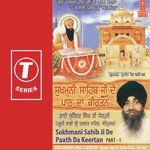 Sukhmani Sahib Ji De Path Da Kirtan - Part 1 (Vol.1) Bhai Surinder Singh Ji (Jodhpuri) Song Download Mp3