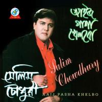 Nirjone Avishare Salim Chowdhury Song Download Mp3