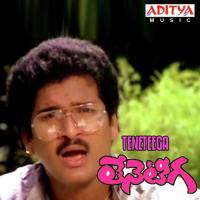 Pala Bugga Meda S.P. Balasubrahmanyam Song Download Mp3