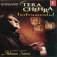 Tere Bina Adnan Sami Song Download Mp3