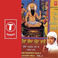 Madho Man Ka Main Tyagau Bibi Ashupreet Kaur-Jalandhar Wale Song Download Mp3