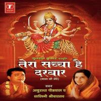 Teri Jai Jagdambe Anuradha Paudwal,Shalini Shrivastav Song Download Mp3