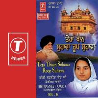 Ramdas Sarovar Naate Bibi Navneet Kaur Ji-Chandigarh Wale Song Download Mp3