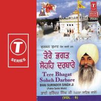 Wadda Mera Gobind Bhai Surinder Singh Ji-Patna Saheb Wale Song Download Mp3