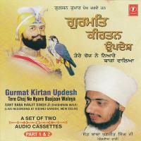 Tere Choj Ne Niyare Baajaan Waleya (Vyakhya Sahit) Sant Baba Ranjit Singh Ji-Dhadrian Wale Song Download Mp3