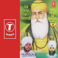 Tere Naam De Bhikhari (Vyakhya Sahit) Bhai Amandeep Singh Ji Song Download Mp3