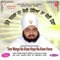 Tere Warga Na Koee Hoya Na Koee Hona (Part 2) Sant Baba Ranjit Singh Ji-Dhadrian Wale Song Download Mp3