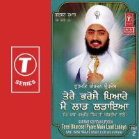 Terei Bharosei Pyare Main Laad Ladaya Sant Baba Ranjit Singh Ji-Dhadrian Wale Song Download Mp3