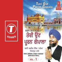 Humlaavei Aapan Paali Bhai Jarnail Singh Ji Song Download Mp3