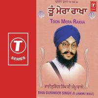 Raakha Ek Hamara Swamy Bhai Surinder Singh-Jammu Wale Song Download Mp3