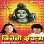 Sankatatuni Taranyasathi Anand Shinde Song Download Mp3