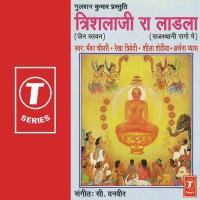 Tame Ayo Palitana Sheela Shethiya,Rekha Trivedi,Bhanwar Chaudhary,Archana Vyas Song Download Mp3