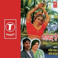 Tu Badi Majedar Hai Tu Badi Majedar Sharif Parvaz,Salma Tabassum Song Download Mp3