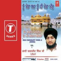 Hum Ghar Naam Khajana Sada Hai Bhai Charanjeet Singh Hira Song Download Mp3