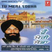 Mohe Machali Tum Neer Bhai Randhir Singh Ji Song Download Mp3