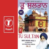 Tu Samrath Vadda Bhai Balbir Singh-Amritsar Wale Song Download Mp3