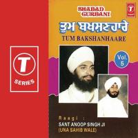 Man Preet Charan Kamlare Sant Anoop Singh Ji Song Download Mp3