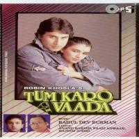 Tujhe Pyaar Karne Se Asha Bhosle,Kumar Sanu Song Download Mp3