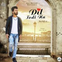 Dil Todi Na Jeet Heran Song Download Mp3