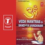 Purusha Suktham Sri Hari Atchuta Rama Sastry Song Download Mp3