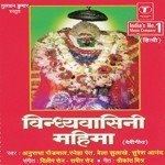 Vindhyavasini Maa Jagdambe Sneha Pant Song Download Mp3